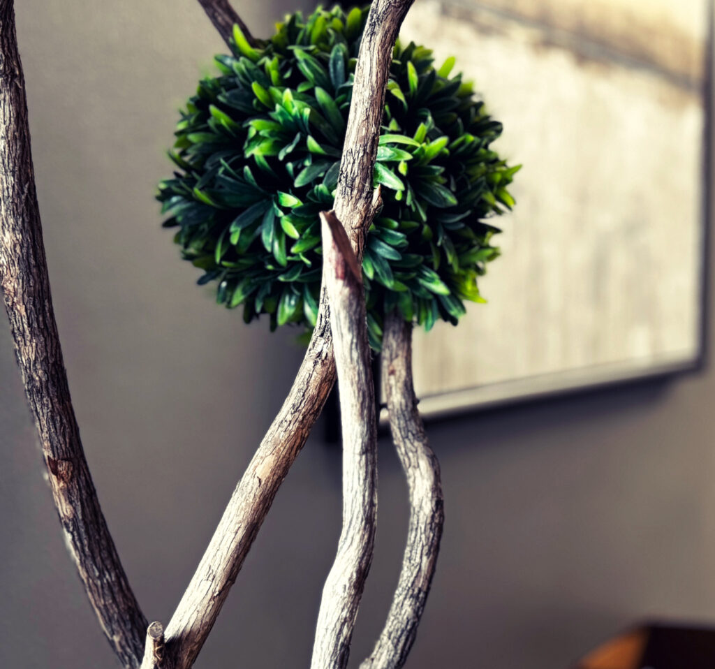 Monterrey & Brighton Place Apartments lobby